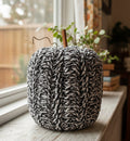 Medium variegated pumpkin