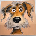 Frazzled dog