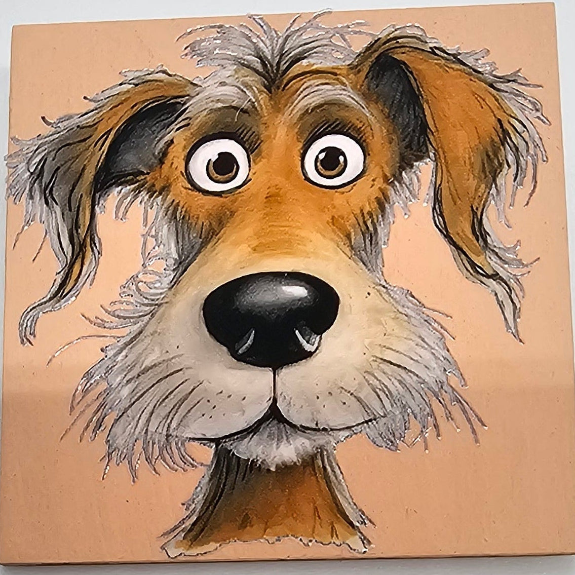 Frazzled dog