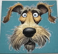 Shocked dog