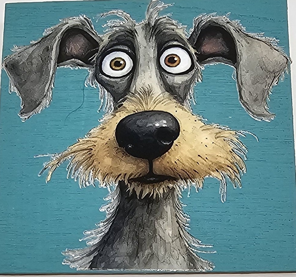 Big eyed dog