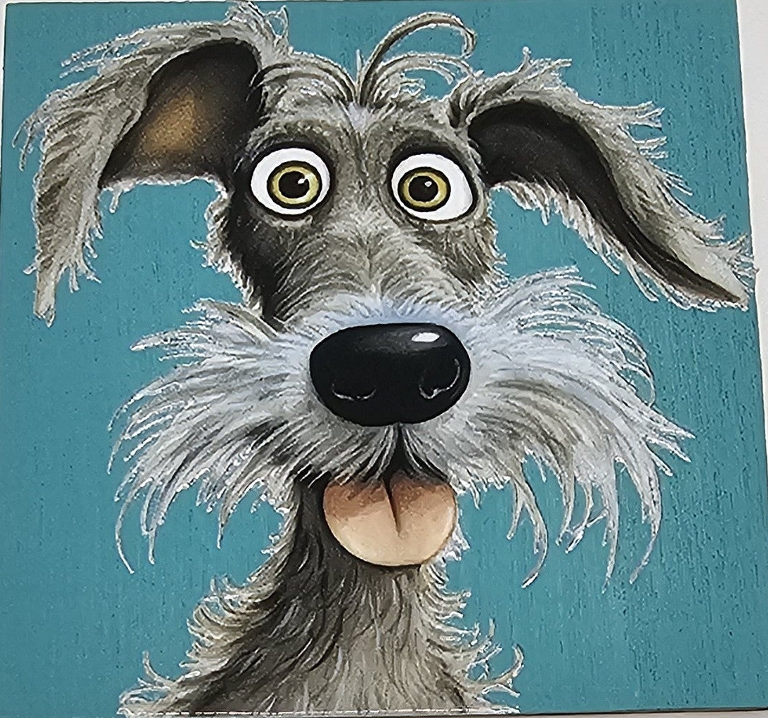 Happy gray dog