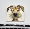 Worried dog