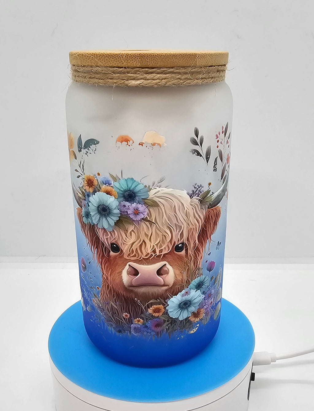 Highland cow