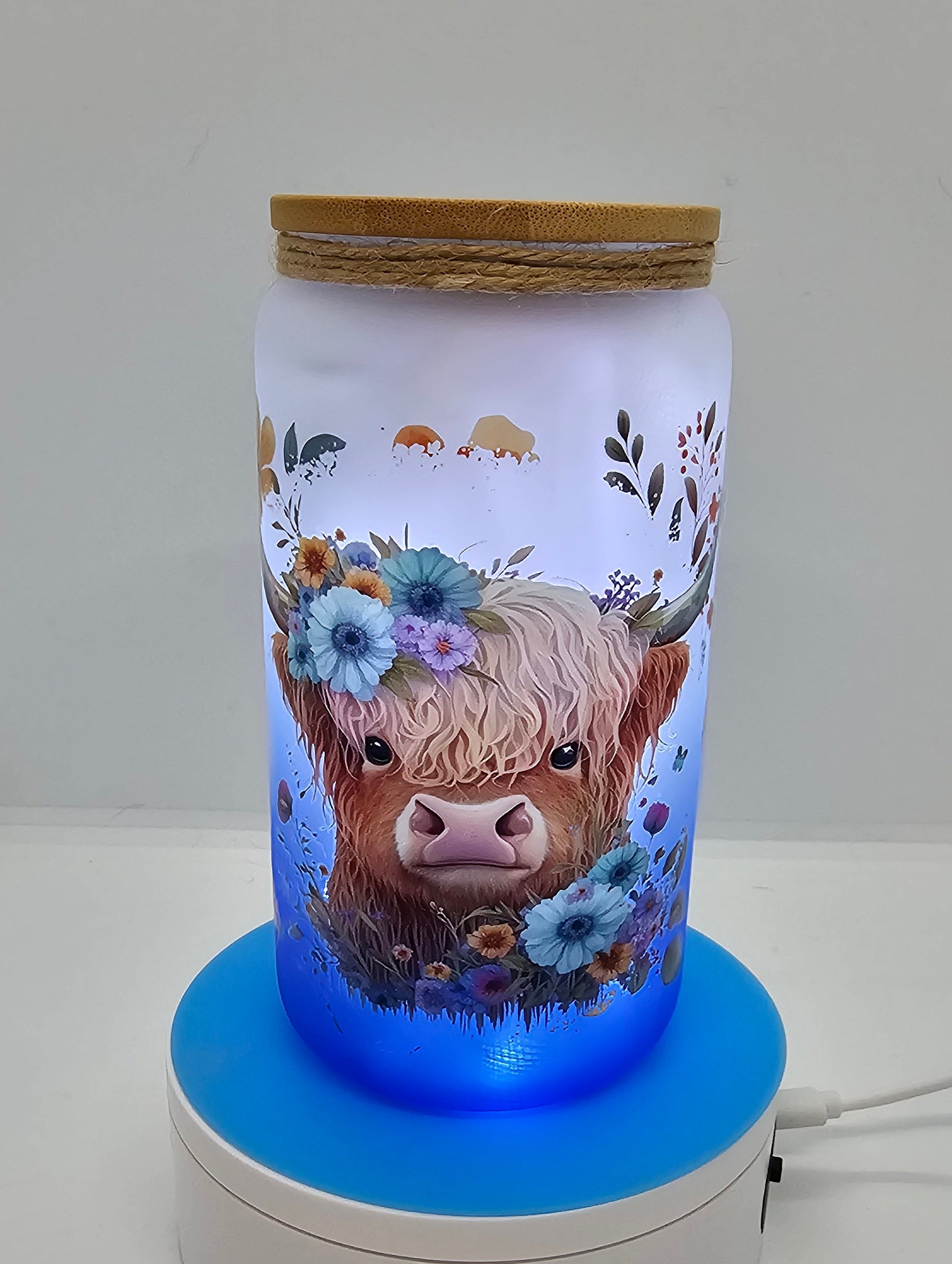 Highland cow