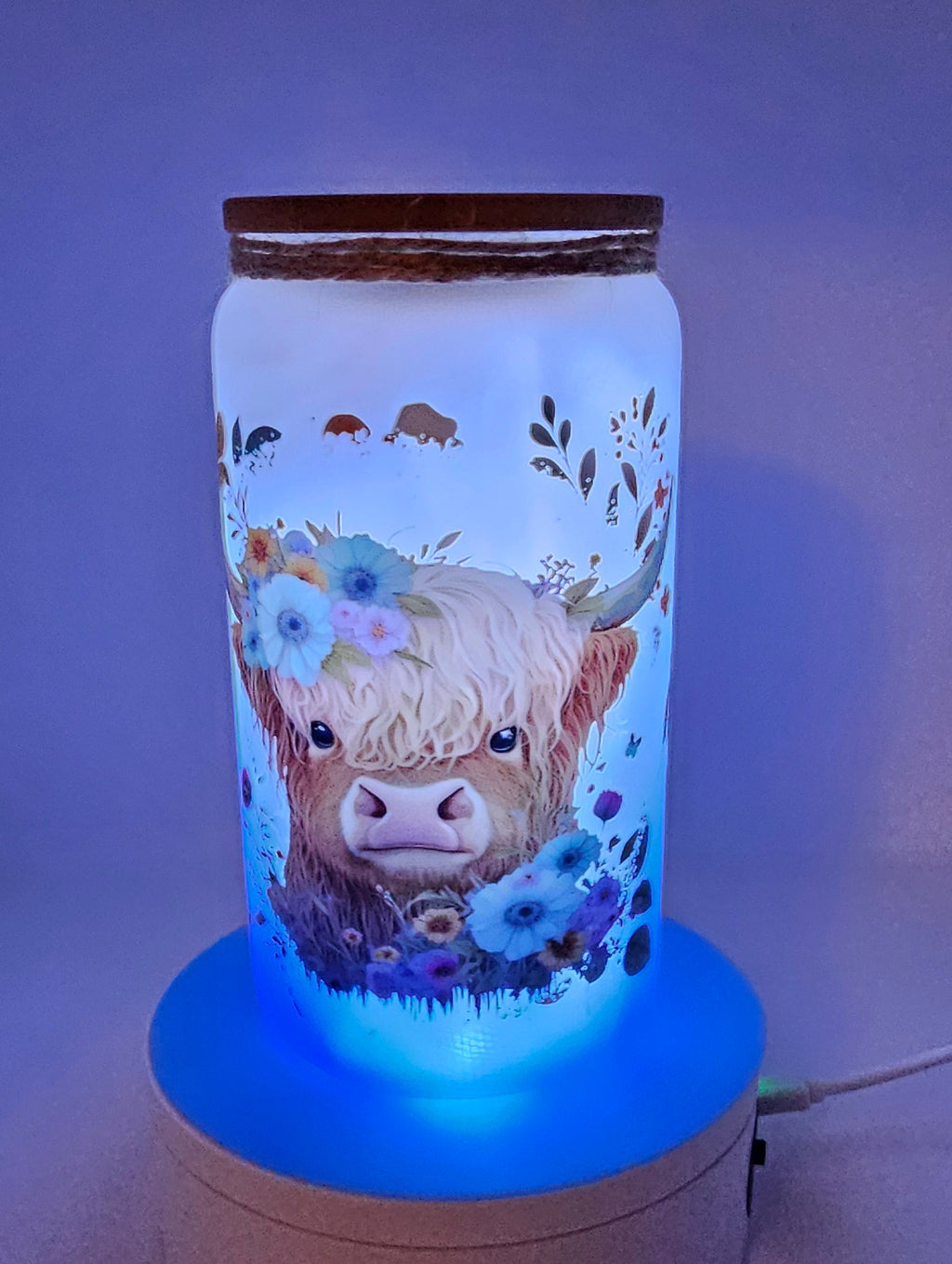 Highland cow