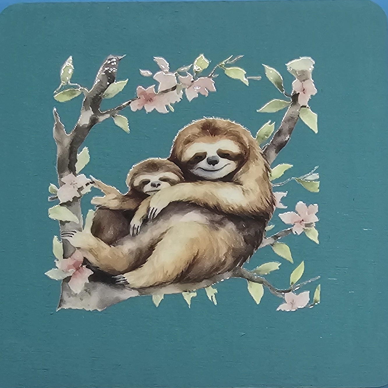 Mama and baby sloth
