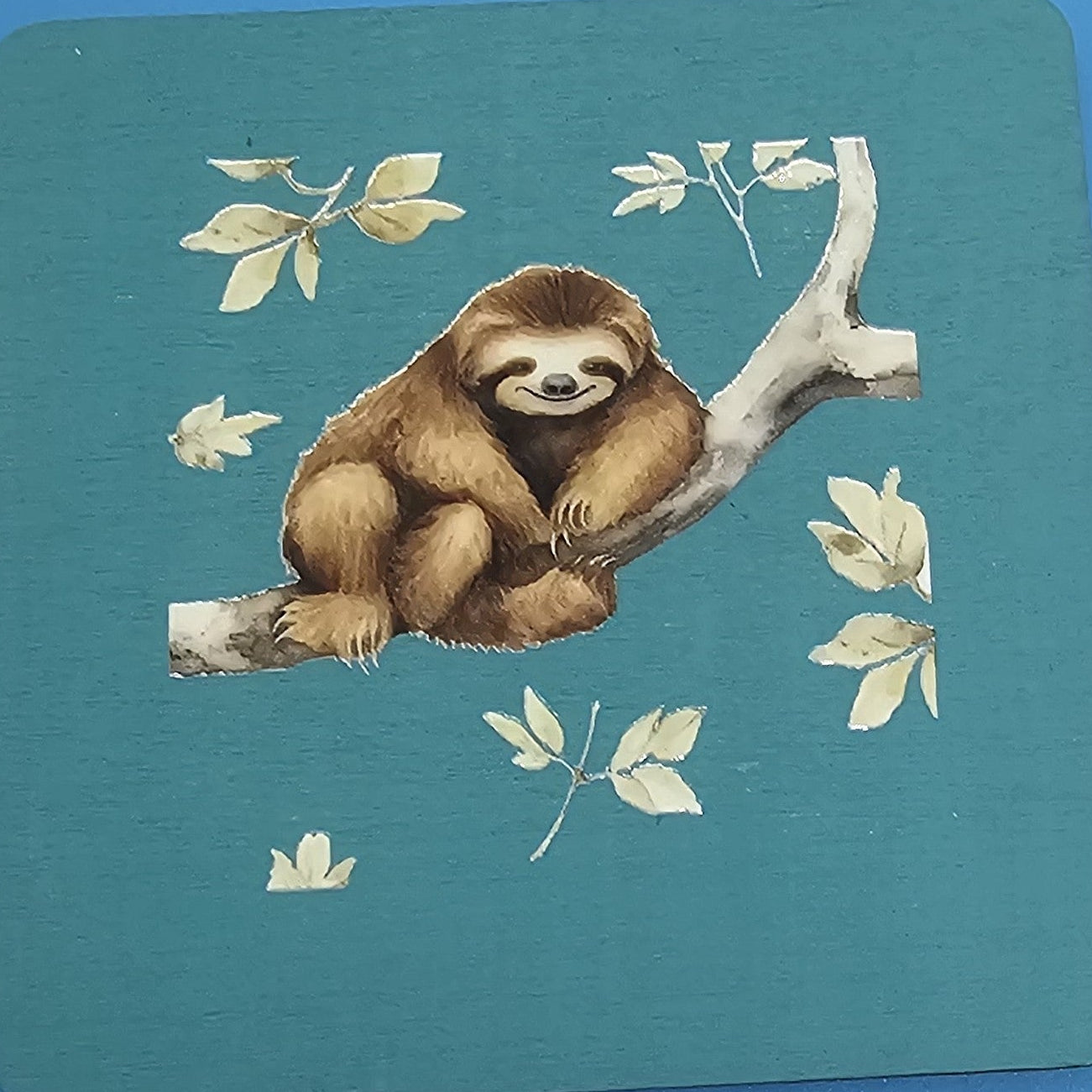Lounging sloth