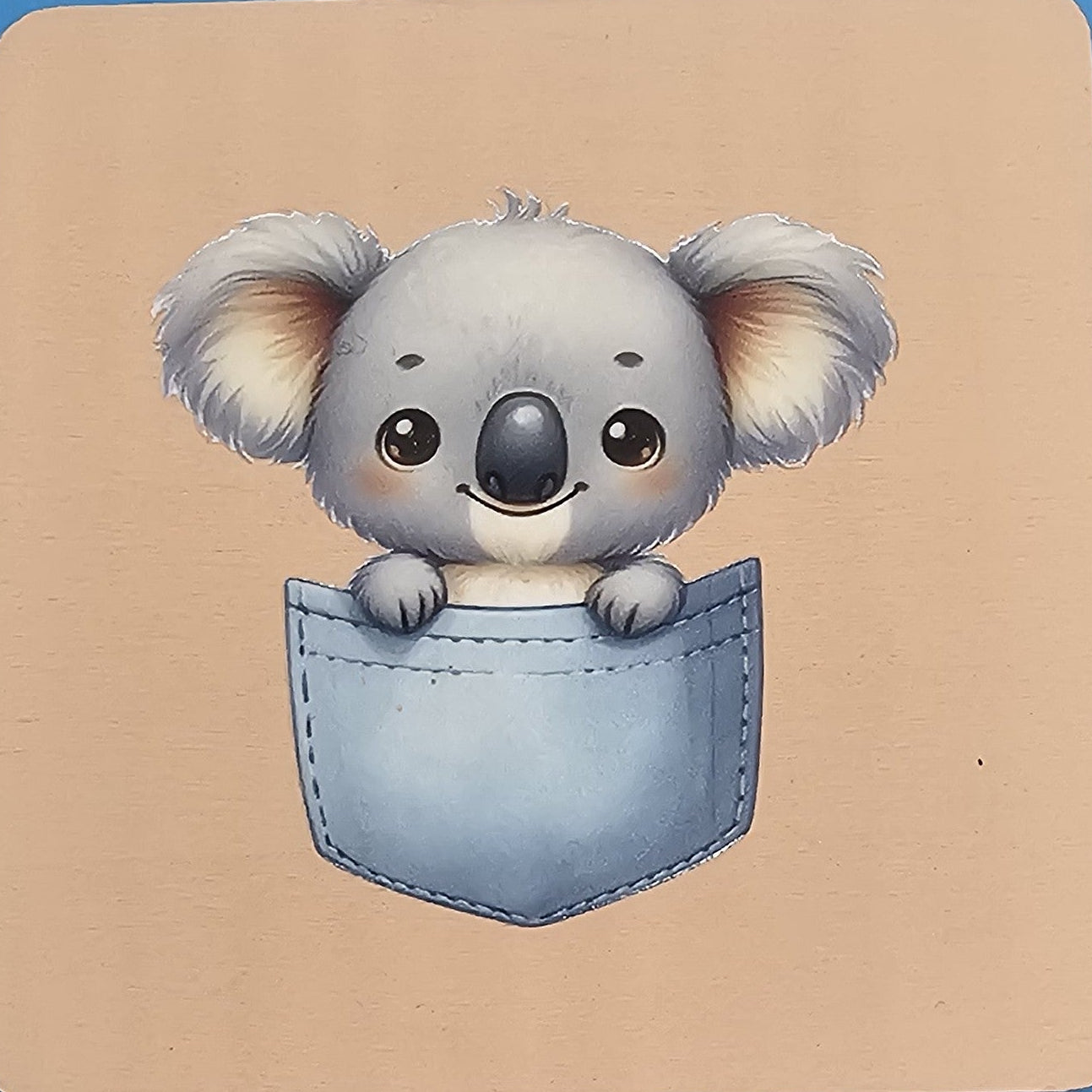Pocket Koala