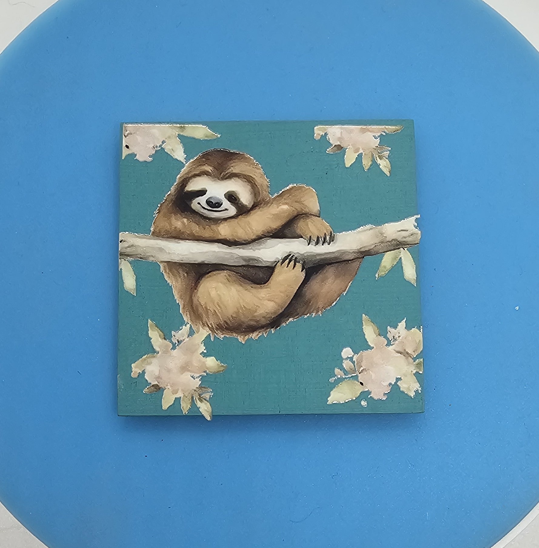 Sleepy sloth