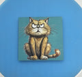 Grouchy cat