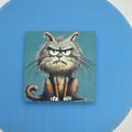 Angry cat