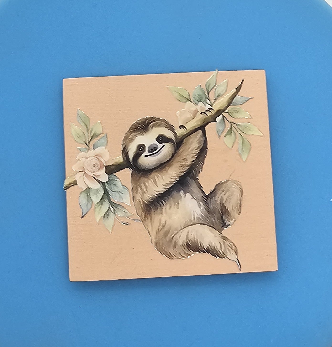 Hanging sloth