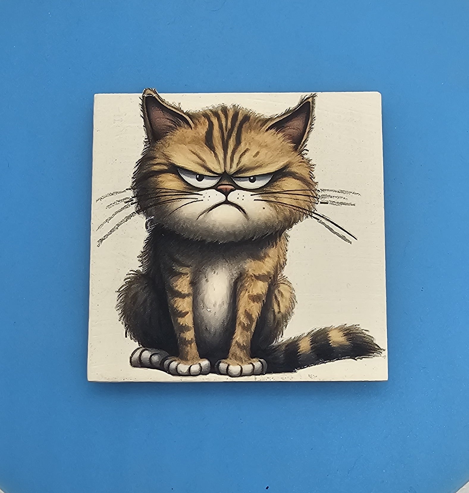 Grumpy Cat