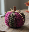Small variegated pumpkin
