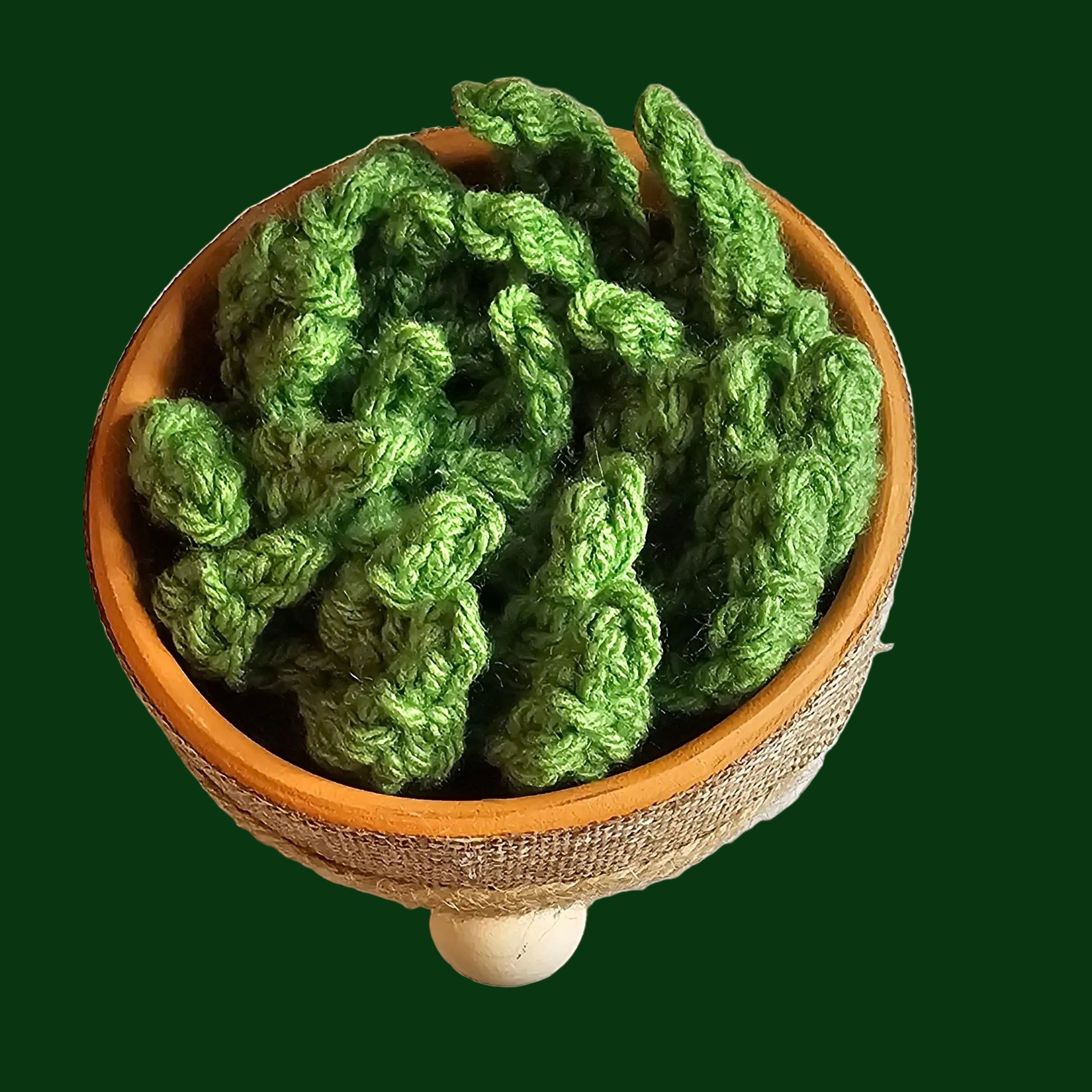Gnome Succulent