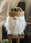 Gnome wavy Succulent