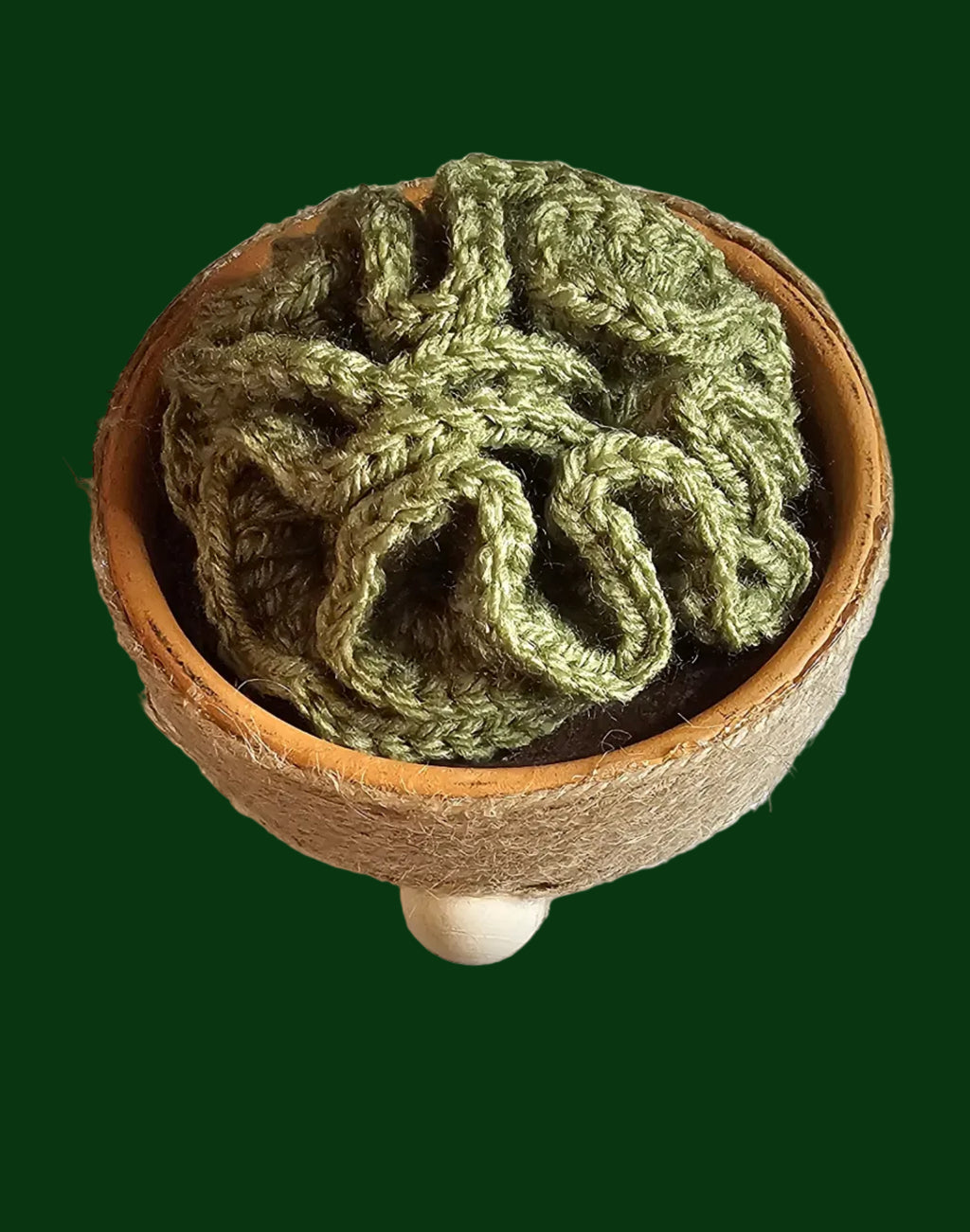 Gnome wavy Succulent