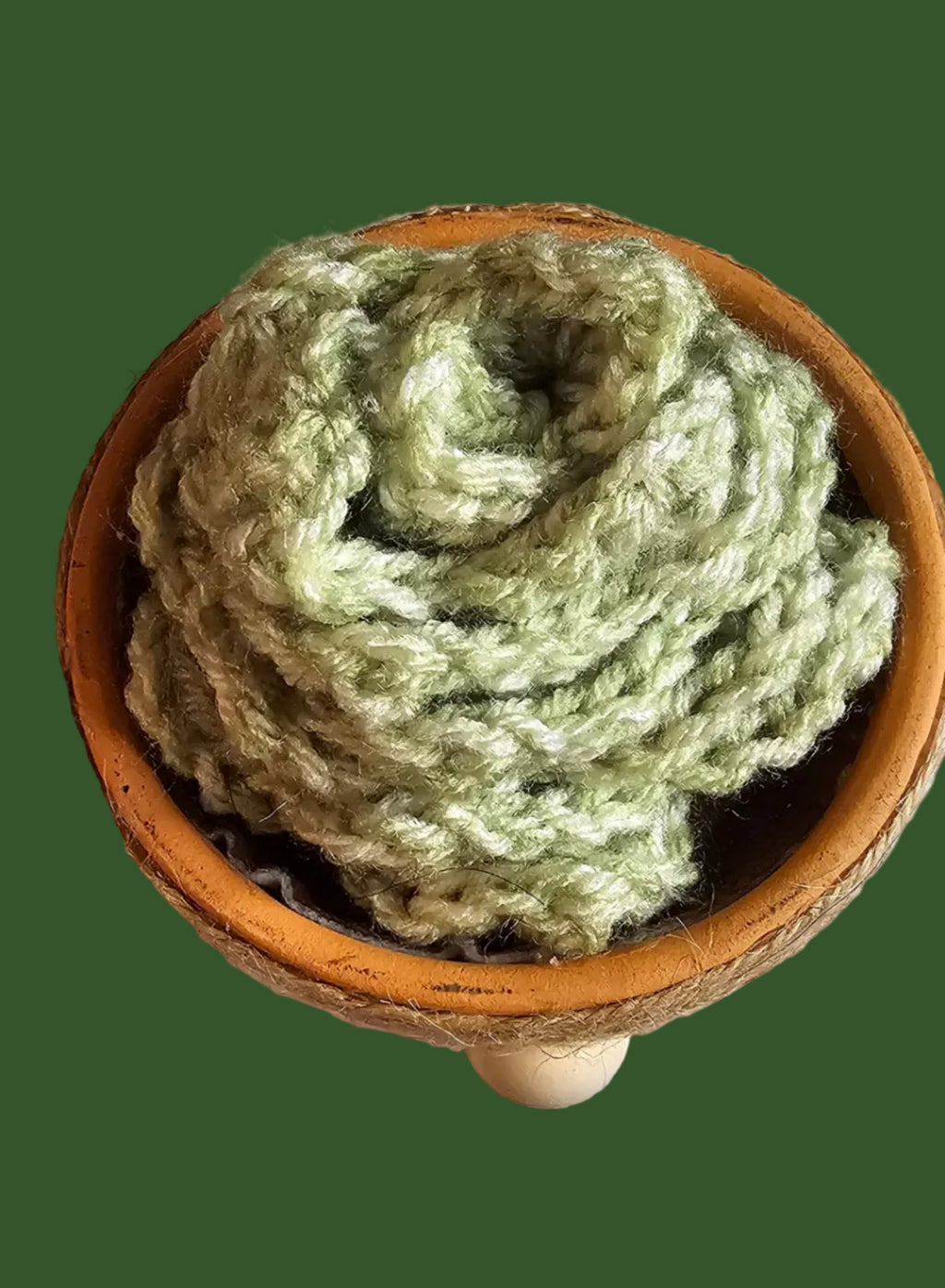 Gnome Succulent