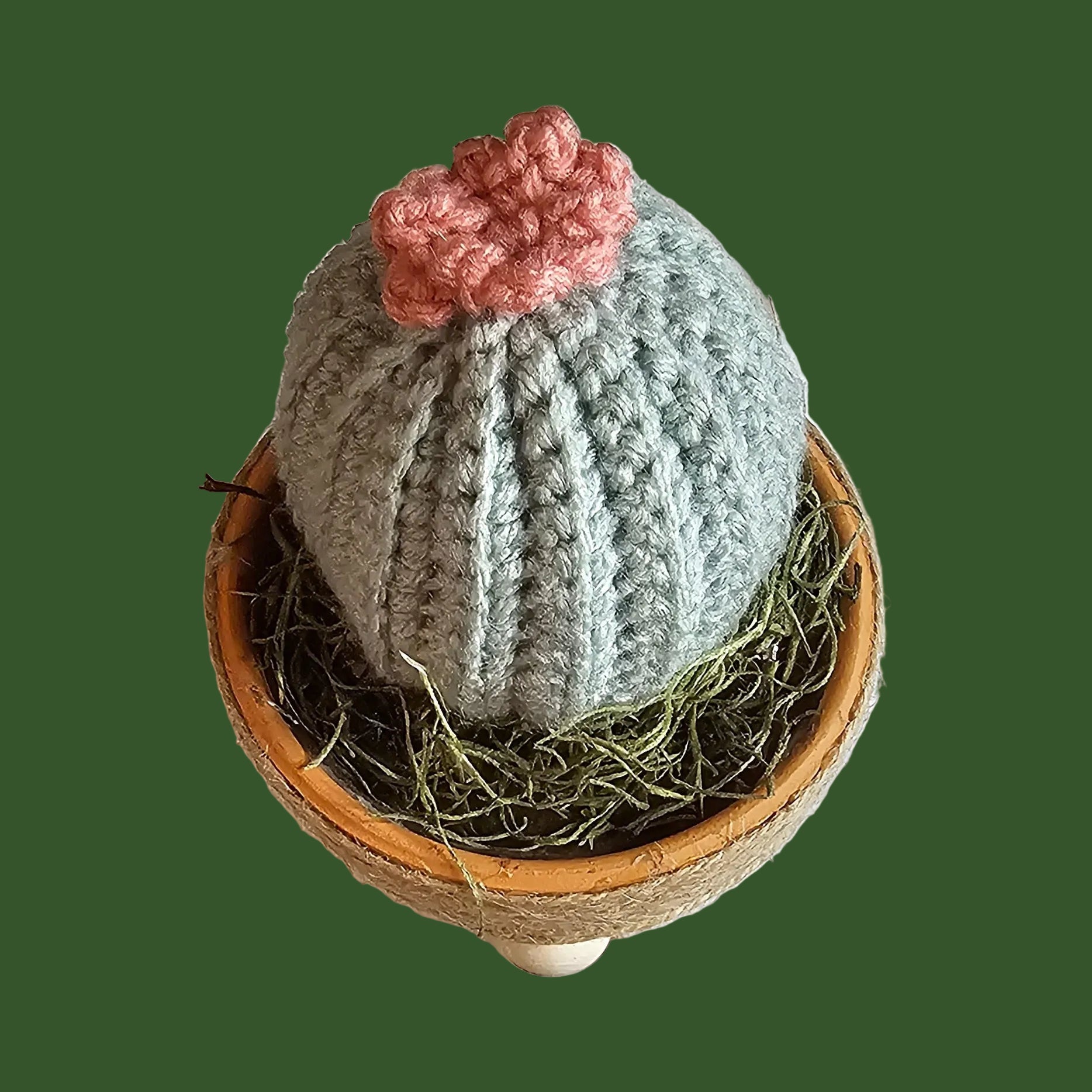 Gnome Flowering Cactus Succulent